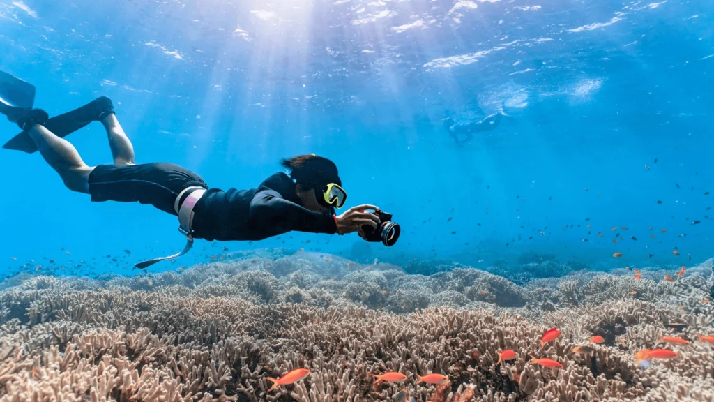 6 Dive Package Kalpitiya